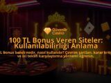 100-TL-Bonus-Veren-Siteler-Kullanilabilirligi-Anlama-overlay-1788128916.jpg
